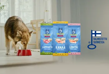 Nokian Nappulatehdas kotimainen koiranruoka